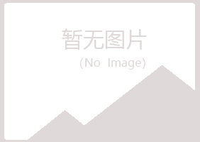 岐山县以寒出版有限公司